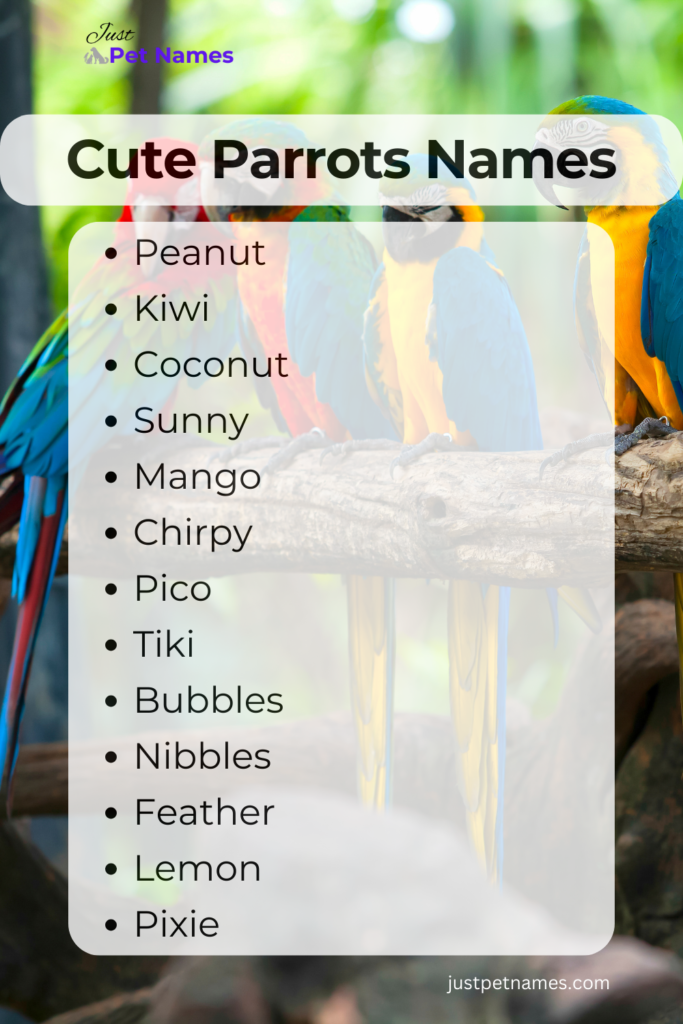 Cute Parrots Names