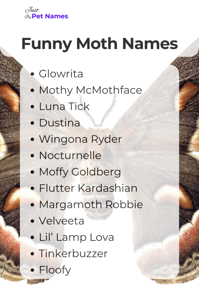 Funny Moth Names