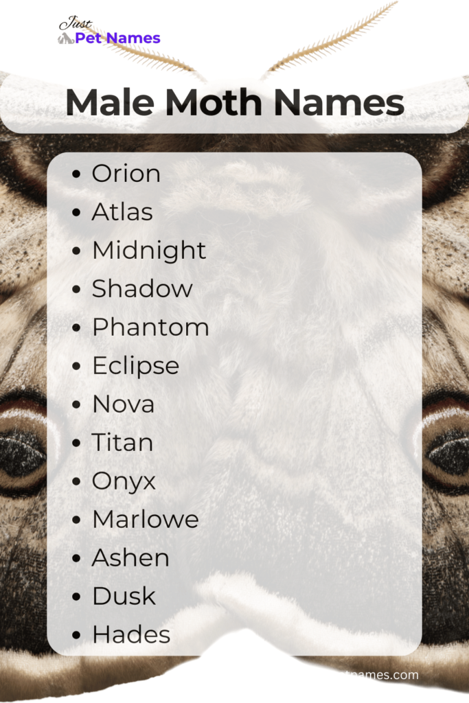 Male Moth Names with meanings