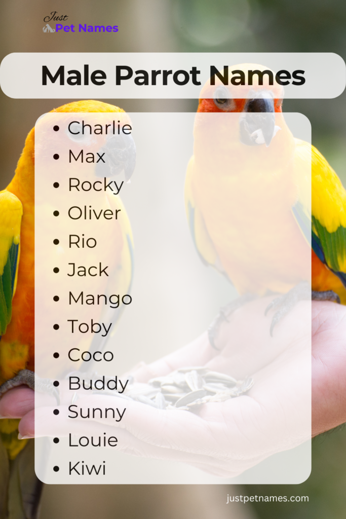 Male Parrot Names