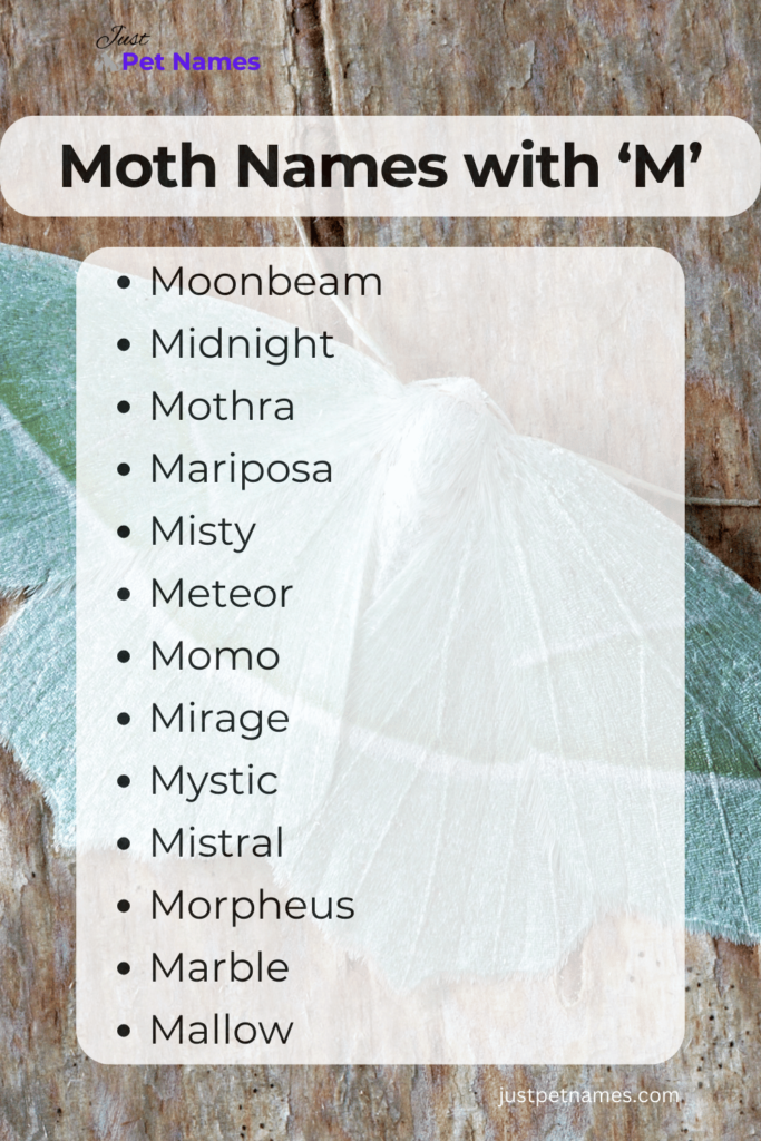 moth names that start with m 