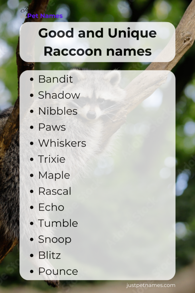 good and unique raccoon names