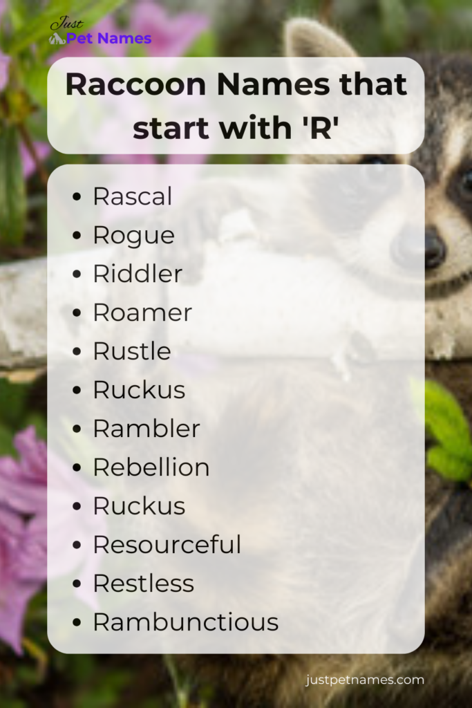 raccoon names that start with r