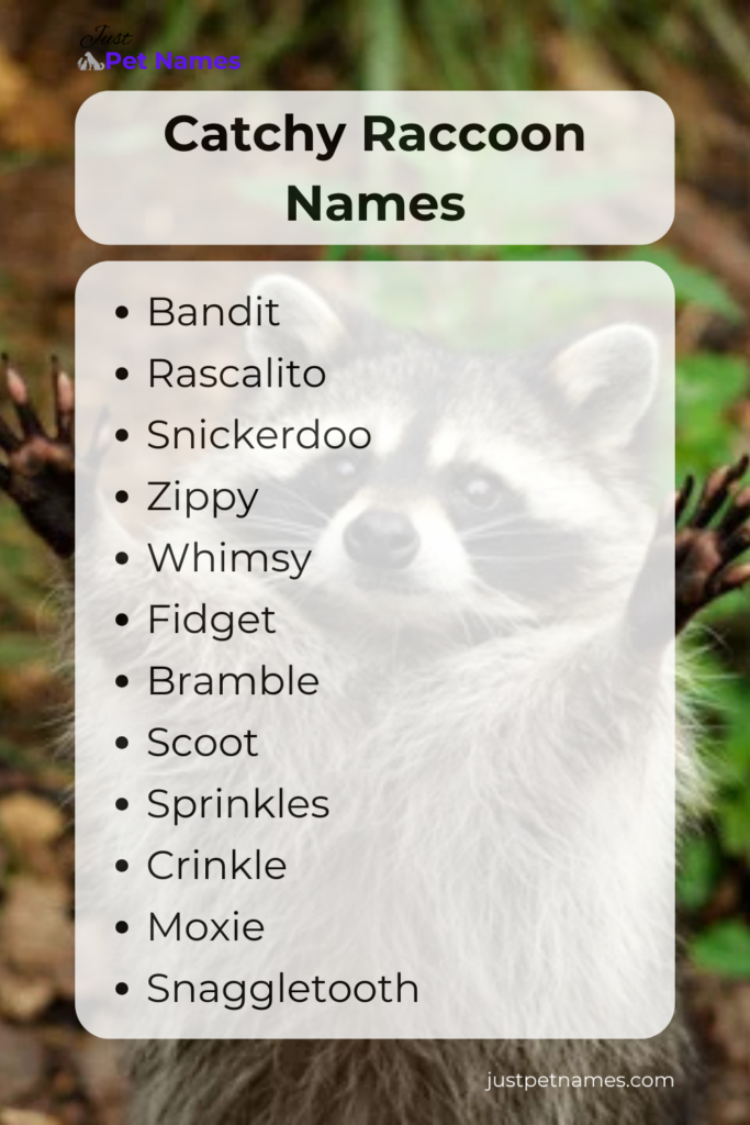 catchy raccoon names