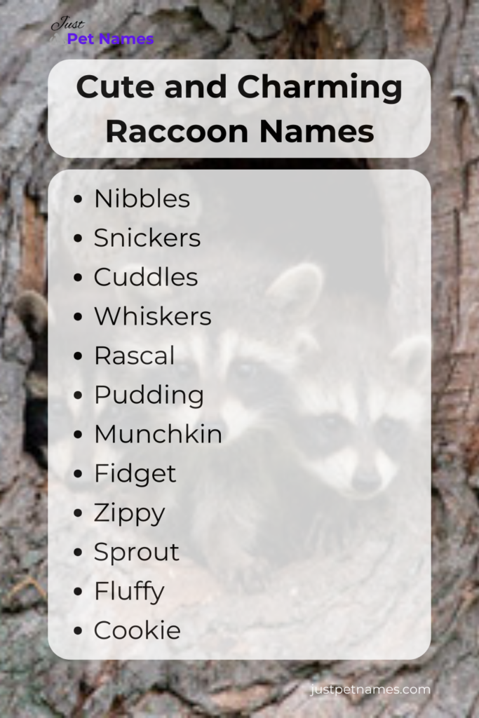 cute and charming raccoon names
