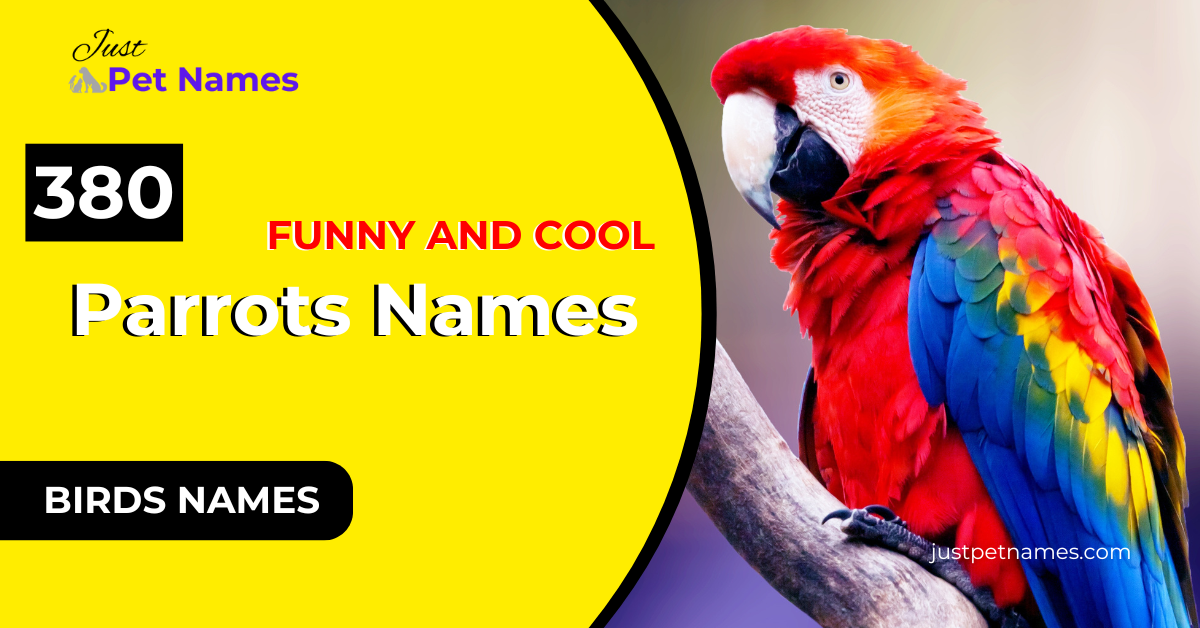 380 Parrot Names With Meanings Funny, Cool, Famous Ideas