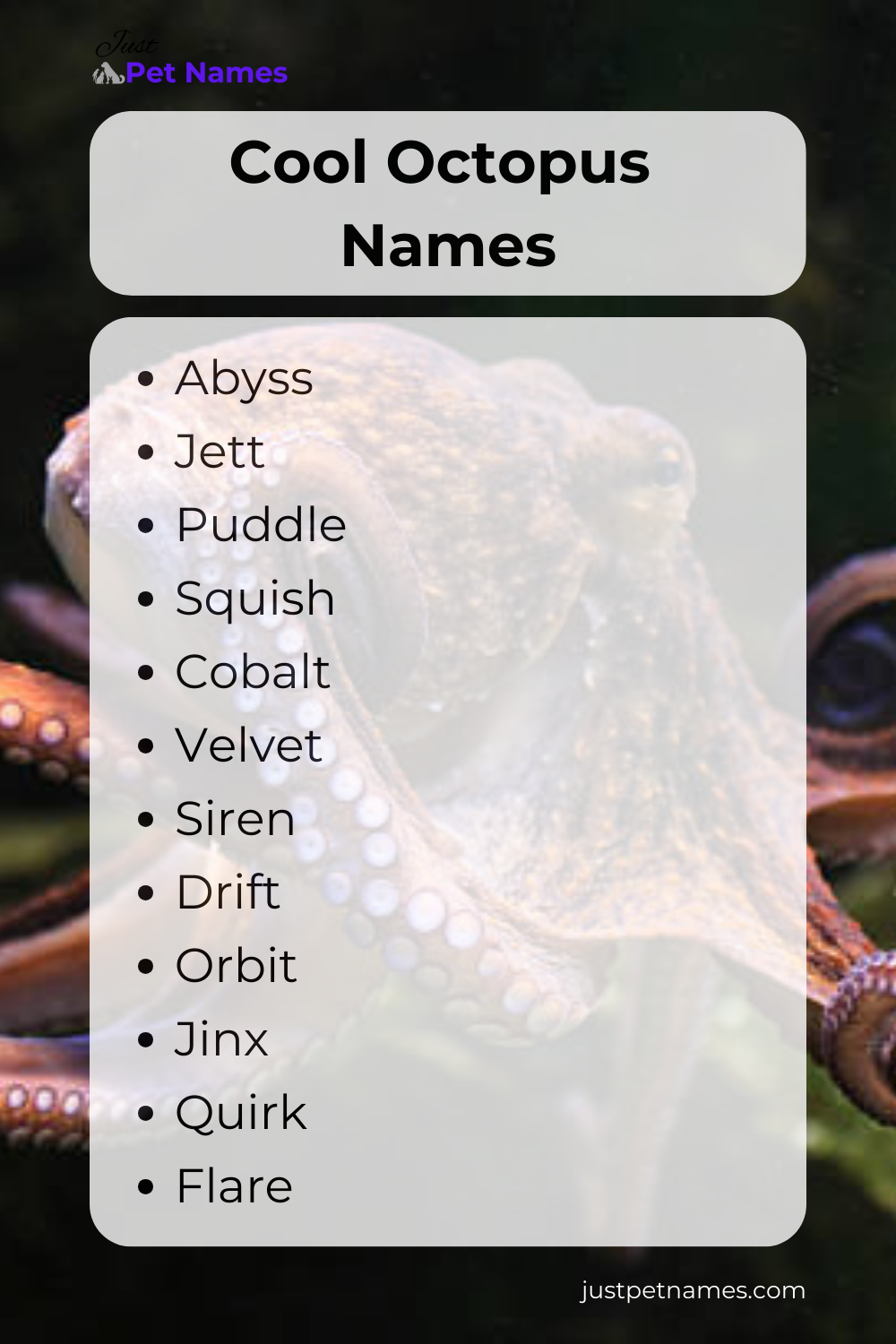 Cool Octopus Names