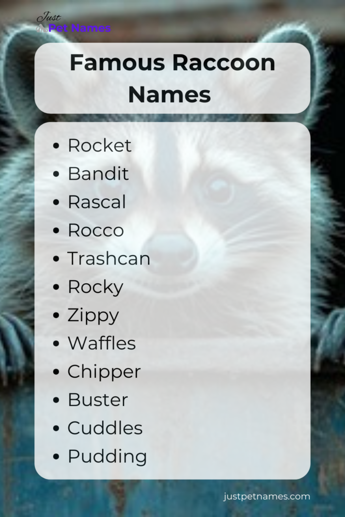 famous raccoon names