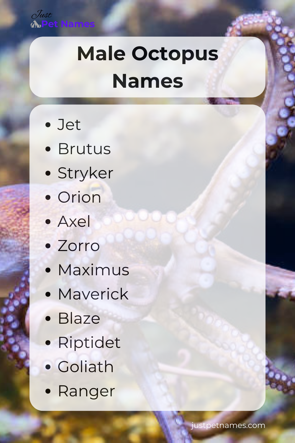 Male Octopus Names