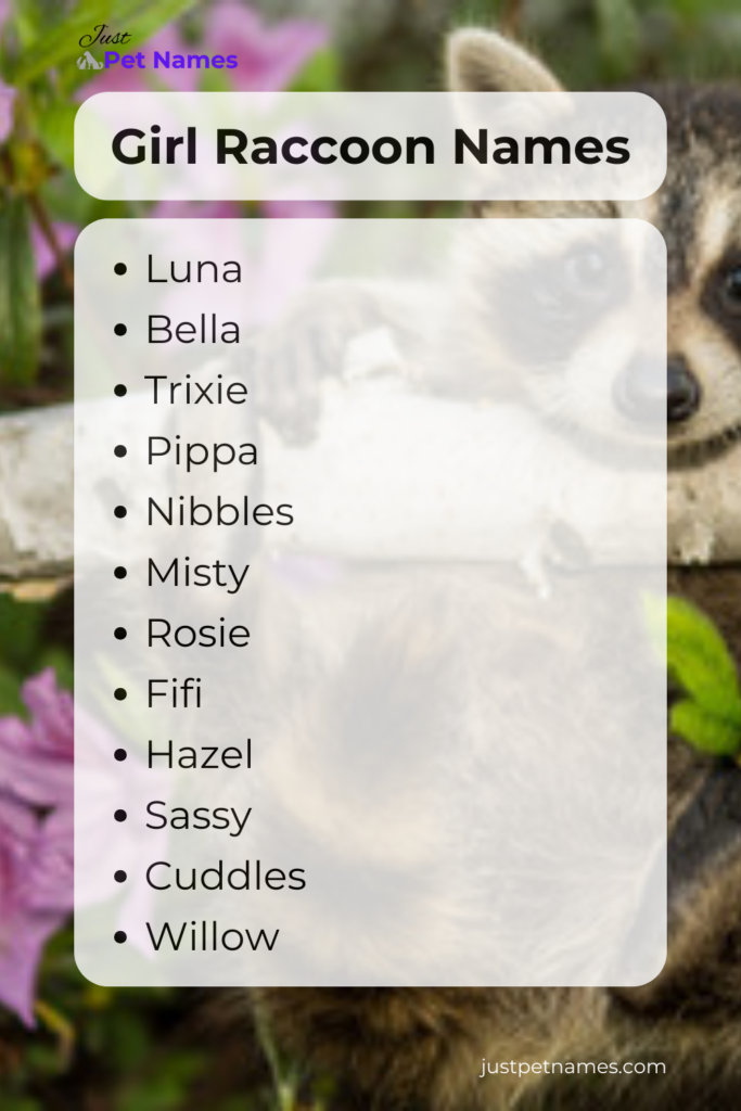 girl raccoon names