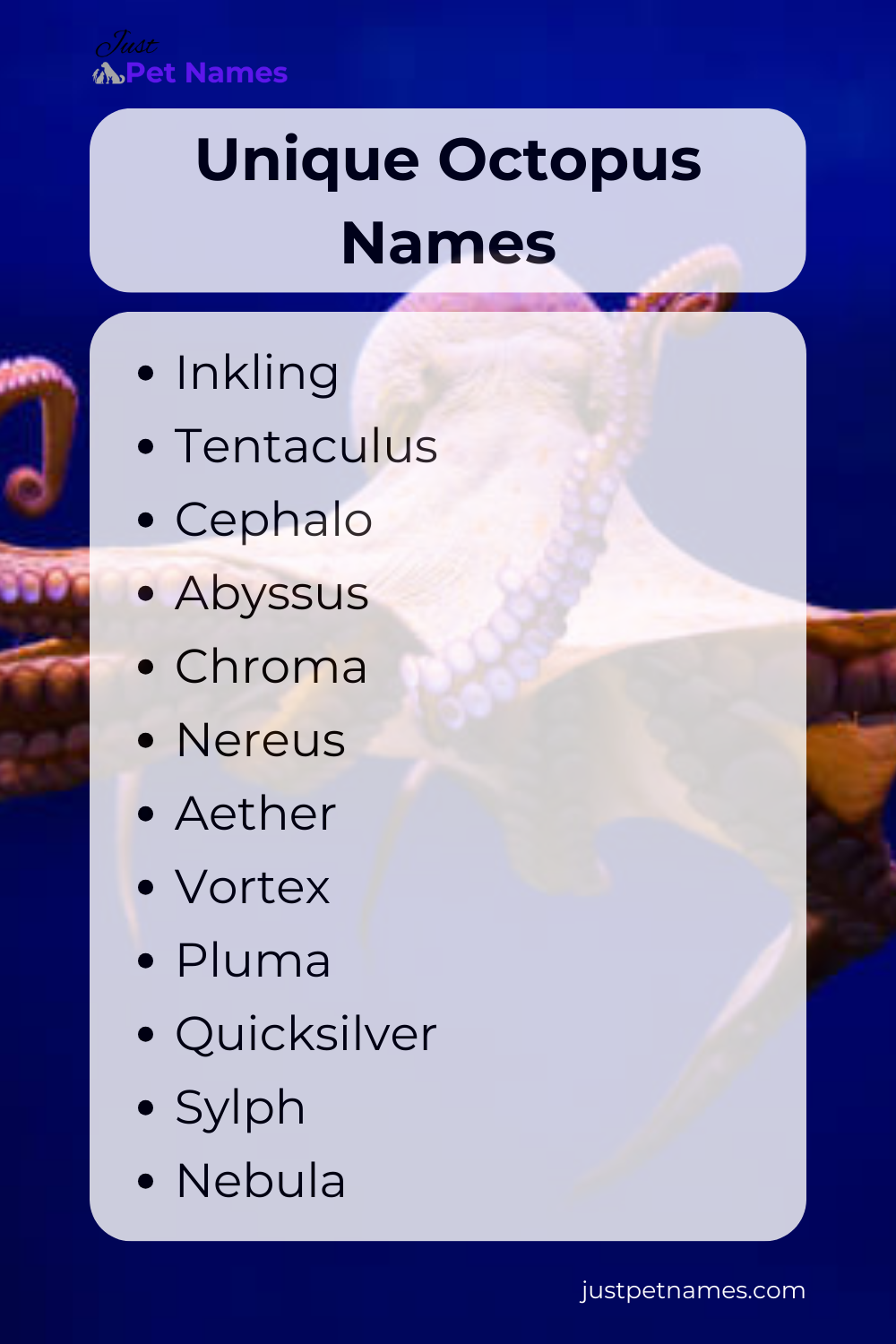 Unique Octopus Names