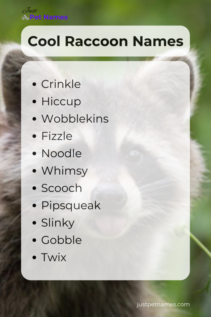 cool raccoon names