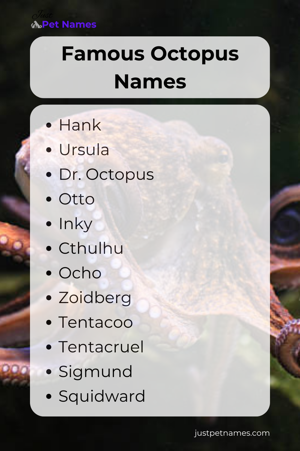 Famous Octopus Names