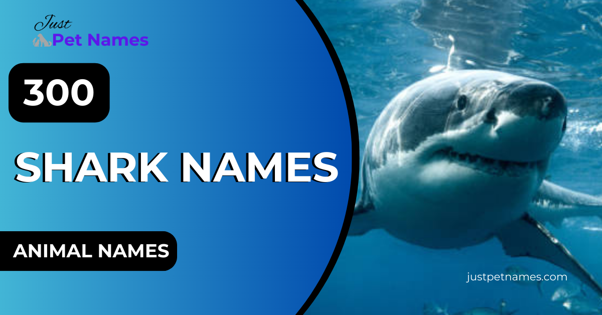 Shark Names