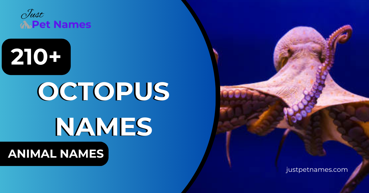 Octopus Names with meanings