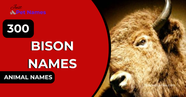 Bison Names