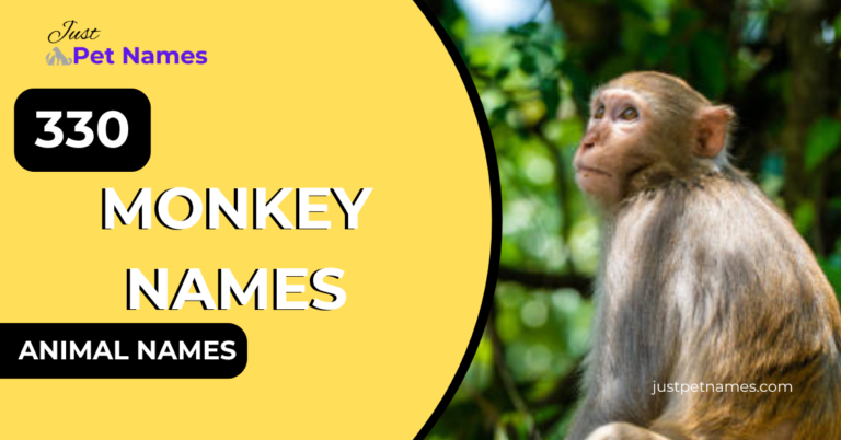 Monkey Names