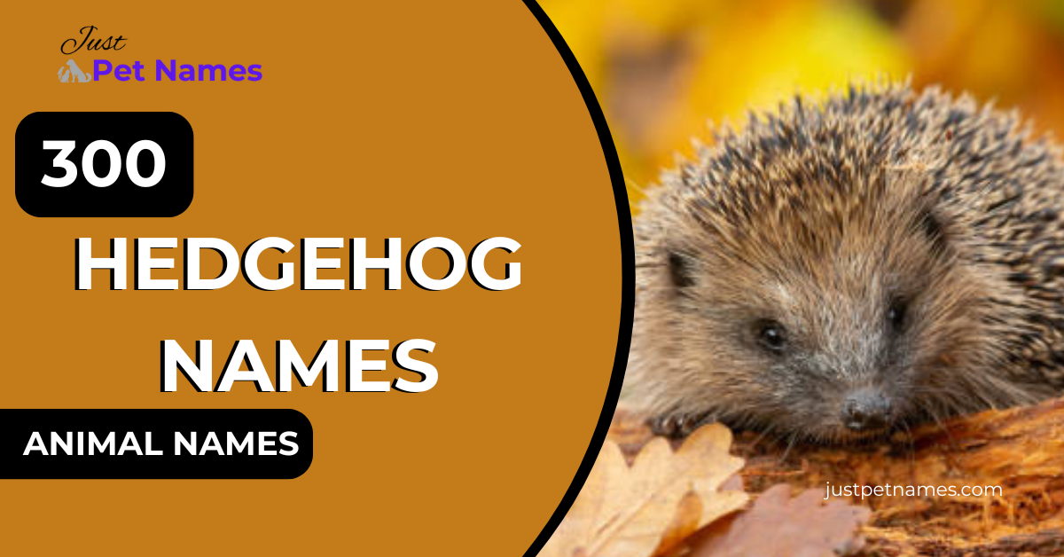 Hedgehog Names