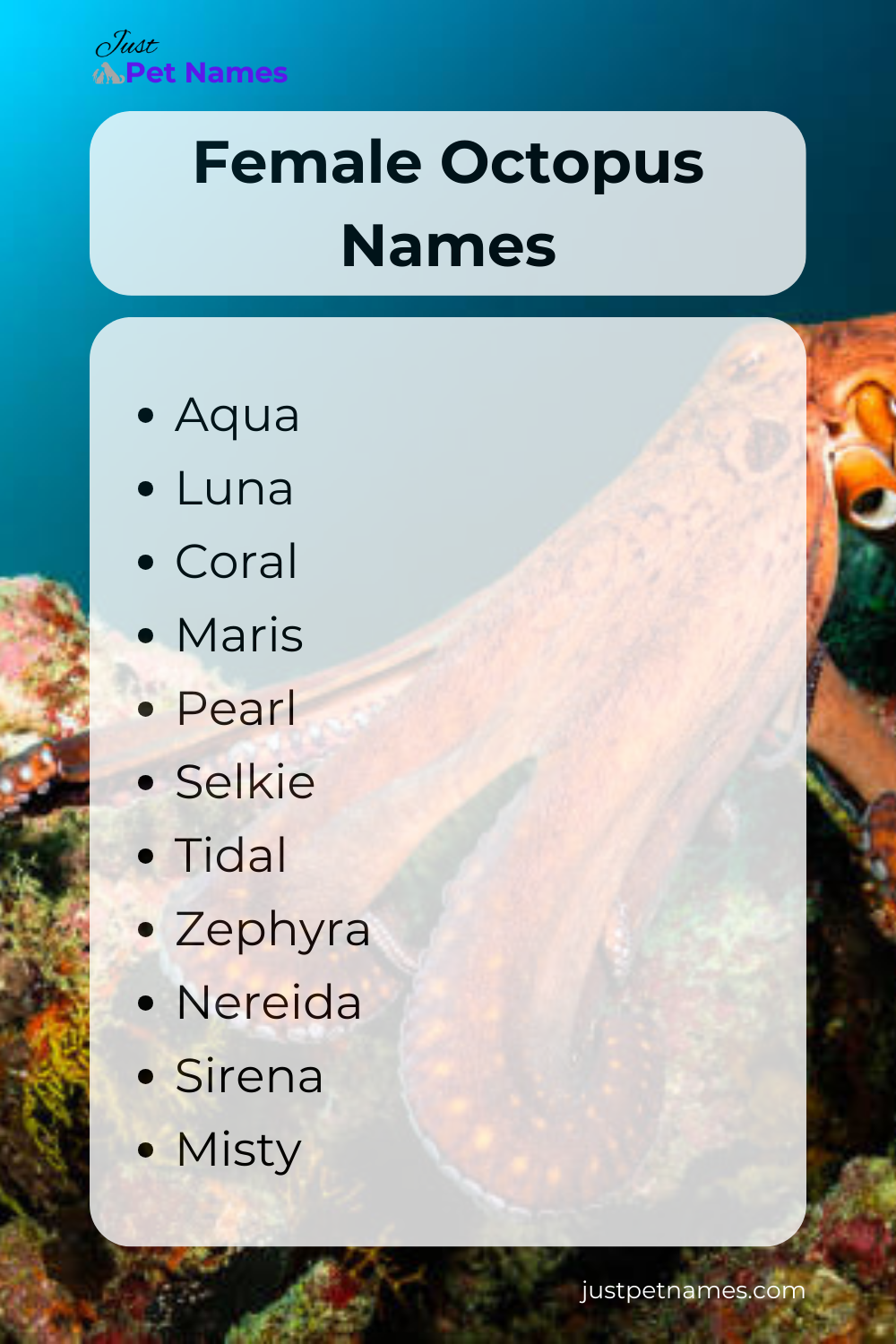 Female Octopus Names