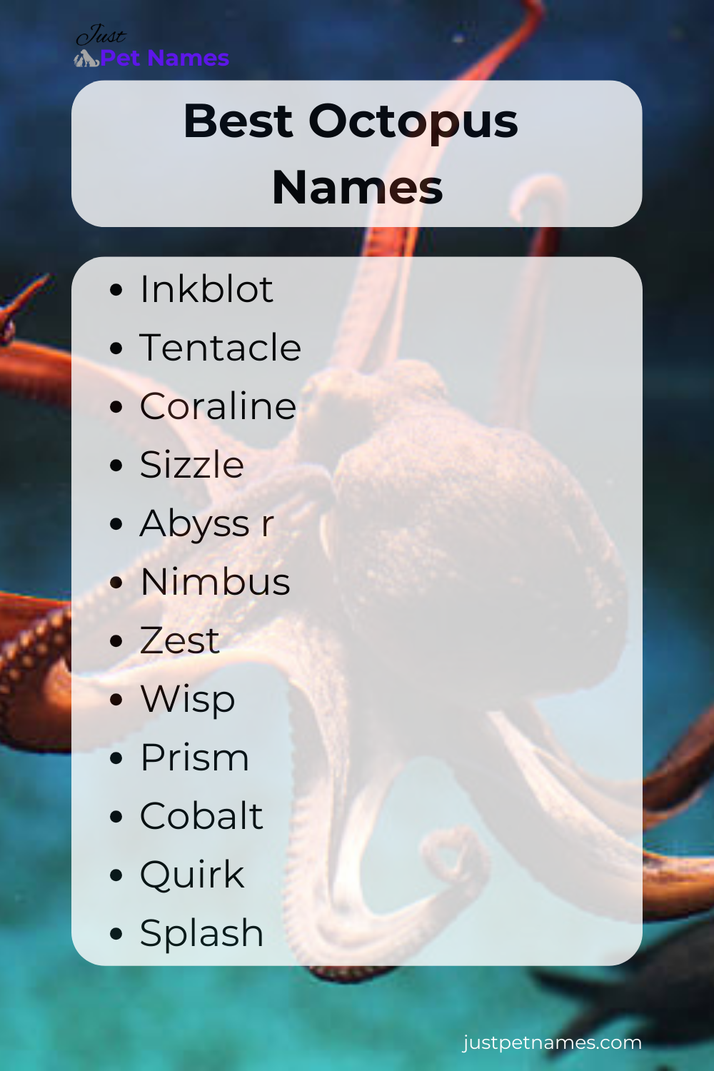 Best Octopus Names